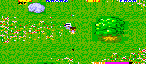 Sega Ninja (315-5102)